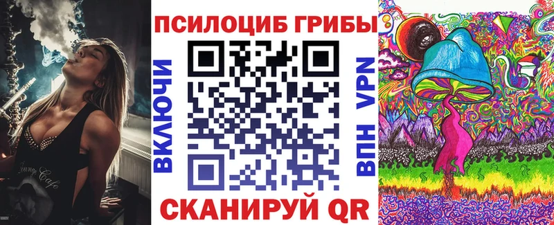 Псилоцибиновые грибы Psilocybe KRAKEN ссылки darknet Telegram Сердобск